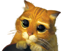 Le Chat Potté