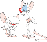 Minus et Cortex