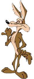 Coyote
